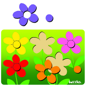 Colour Match Flowers