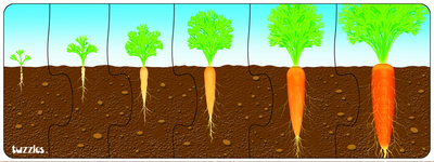 Plant Growth Sequence Set of 2